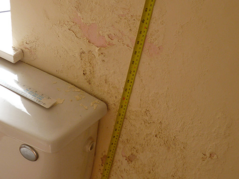 bubbling plasterwork
